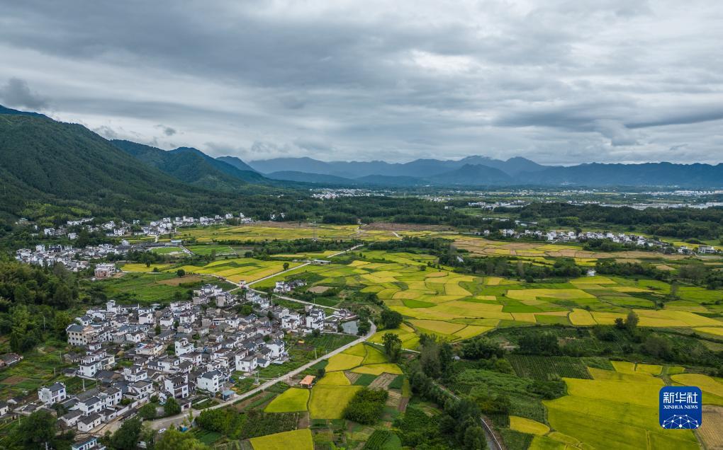 捕鱼大师会点杀
